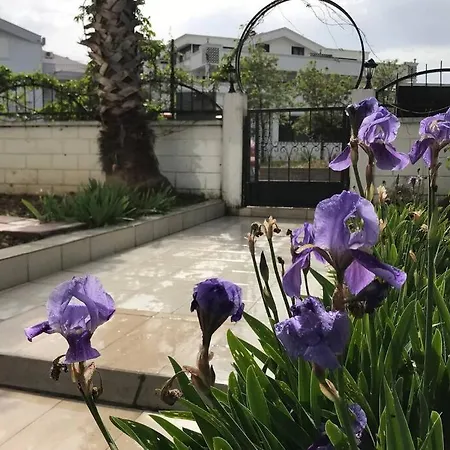 Side Parkvilla Garden Floor *
